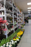 /album/fotogalerie-kopretinka-kralupy/img-2597-jpg/