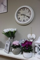 /album/darky/img-2578-jpg/